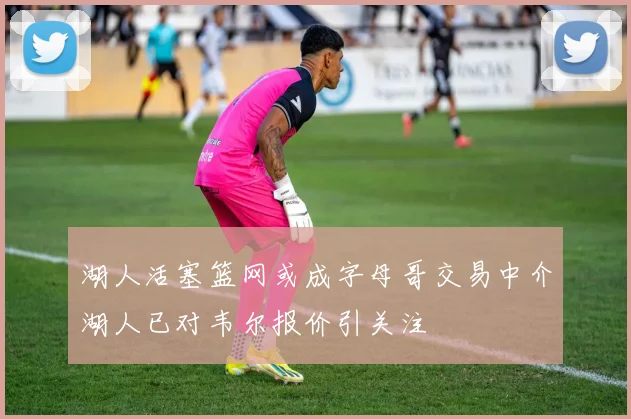 湖人活塞篮网或成字母哥交易中介湖人已对韦尔报价引关注